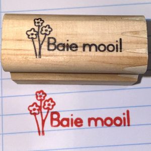 Baie mooi! 20mmx45mm wooden stamp