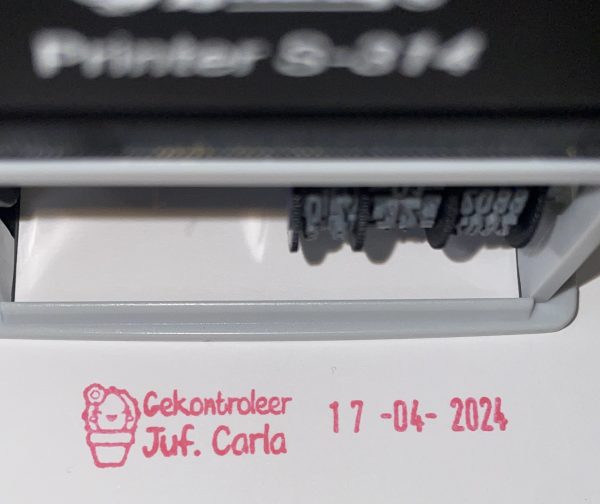 S314 10mmx45mm adjustable date stamp - Cactus (ONLY SHORT WORDING)