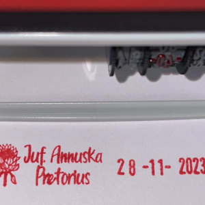 S314 10mmx45mm adjustable date stamp