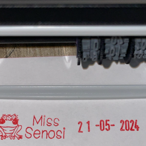 10mmx45mm adjustable date stamp - Frog