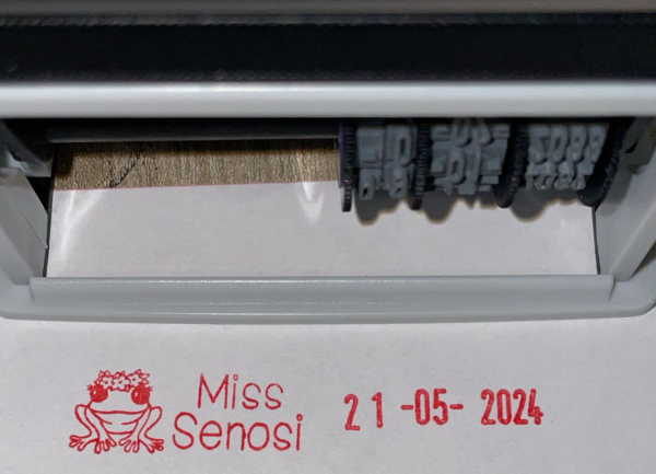 10mmx45mm adjustable date stamp - Frog