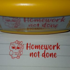 Owl Homework not done (14mmx38mm self inking stamp)